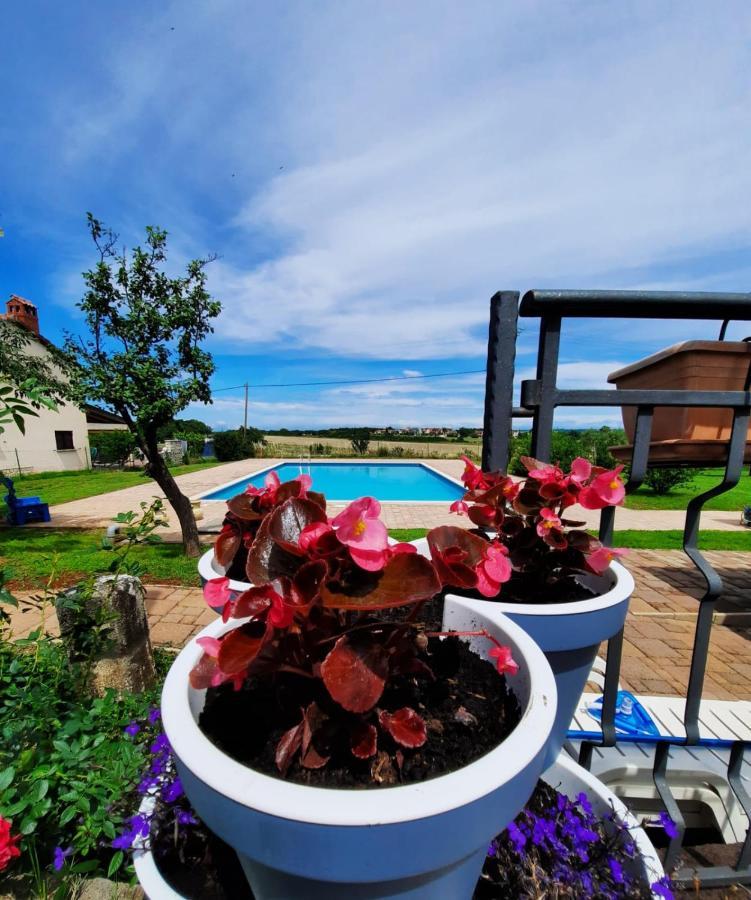 Moratto's Apartment Umag